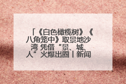 《白色橄榄树》《八角笼中》取景地沙湾 凭借“景、城、人”火爆出圈丨新闻发布最前线