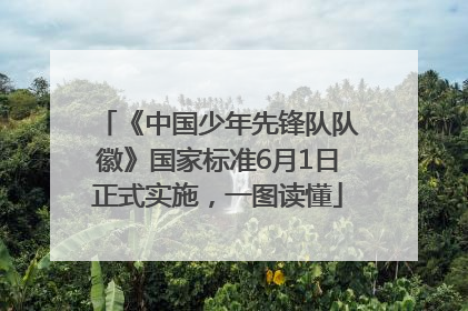 《中国少年先锋队队徽》国家标准6月1日正式实施，一图读懂