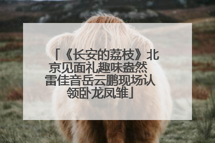 《长安的荔枝》北京见面礼趣味盎然 雷佳音岳云鹏现场认领卧龙凤雏
