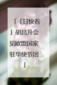 「甘快看」胡昌升会见欧盟国家驻华使节团
