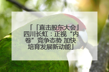 「直击股东大会」四川长虹：正视“内卷”竞争态势 加快培育发展新动能