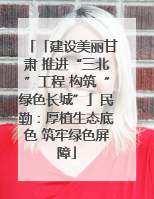 「建设美丽甘肃 推进“三北”工程 构筑“绿色长城”」民勤：厚植生态底色 筑牢绿色屏障
