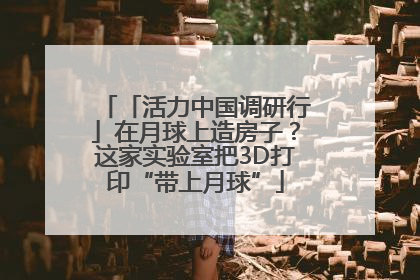 「活力中国调研行」在月球上造房子？这家实验室把3D打印“带上月球”