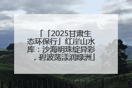 「2025甘肃生态环保行」红崖山水库：沙海明珠绽异彩，碧波荡漾润绿洲