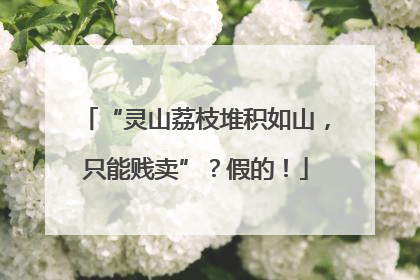 “灵山荔枝堆积如山，只能贱卖”？假的！