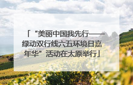 “美丽中国我先行——绿动双行线六五环境日嘉年华”活动在太原举行