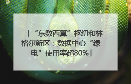“东数西算”枢纽和林格尔新区：数据中心“绿电”使用率超80%