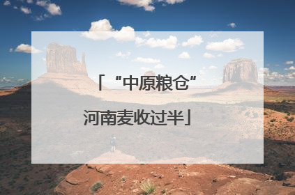 “中原粮仓”河南麦收过半