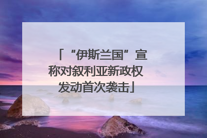 “伊斯兰国”宣称对叙利亚新政权发动首次袭击