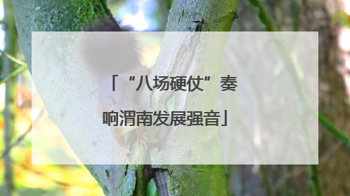 “八场硬仗”奏响渭南发展强音