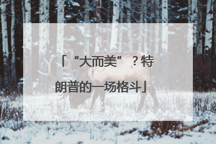 “大而美”？特朗普的一场格斗