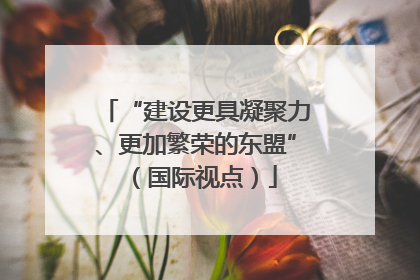 “建设更具凝聚力、更加繁荣的东盟”（国际视点）