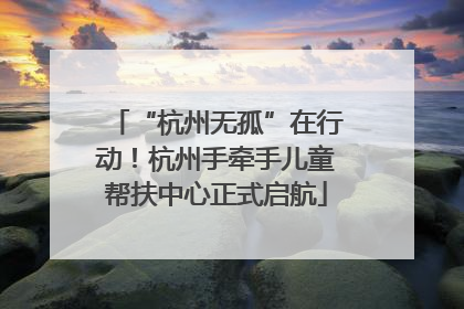 “杭州无孤”在行动！杭州手牵手儿童帮扶中心正式启航