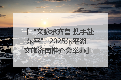 “文脉承齐鲁 携手赴东平” 2025东平湖文旅济南推介会举办