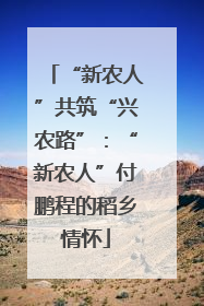 “新农人”共筑“兴农路”：“新农人”付鹏程的稻乡情怀