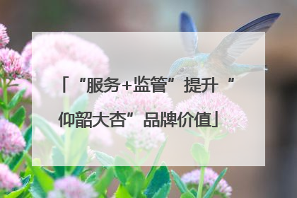 “服务+监管”提升“仰韶大杏”品牌价值
