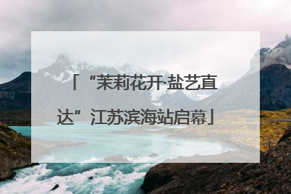 “茉莉花开·盐艺直达”江苏滨海站启幕