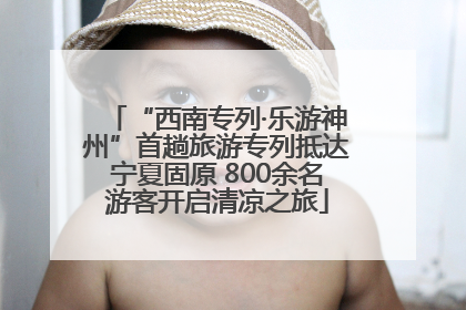 “西南专列·乐游神州”首趟旅游专列抵达宁夏固原 800余名游客开启清凉之旅