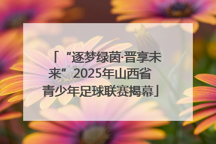 “逐梦绿茵·晋享未来”2025年山西省青少年足球联赛揭幕