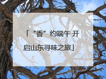 “香”约端午 开启山东寻味之旅