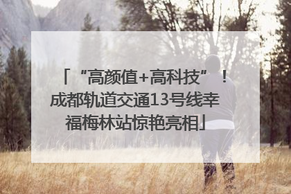 “高颜值+高科技”！成都轨道交通13号线幸福梅林站惊艳亮相