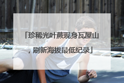 珍稀光叶蕨现身瓦屋山，刷新海拔最低纪录