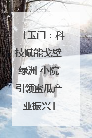 玉门：科技赋能戈壁绿洲 小院引领蜜瓜产业振兴