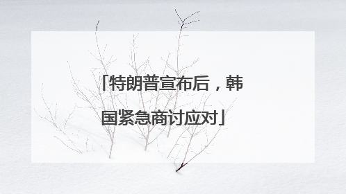 特朗普宣布后，韩国紧急商讨应对