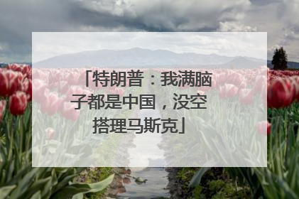 特朗普：我满脑子都是中国，没空搭理马斯克