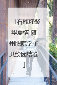 石榴籽聚华夏情 随州职院学子共绘团结卷