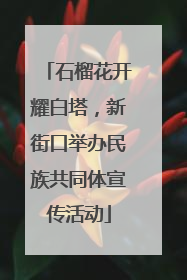 石榴花开耀白塔，新街口举办民族共同体宣传活动