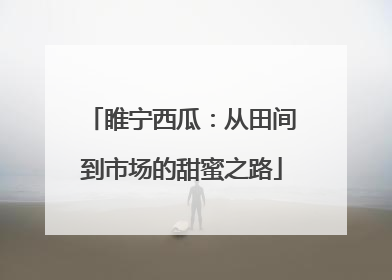 睢宁西瓜：从田间到市场的甜蜜之路