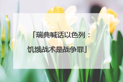 瑞典喊话以色列：饥饿战术是战争罪