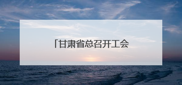 甘肃省总召开工会联系引导社会组织工作现场推进会