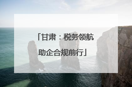 甘肃：税务领航 助企合规前行