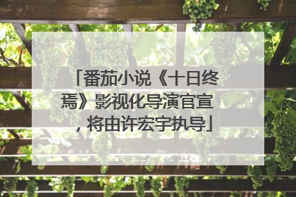 番茄小说《十日终焉》影视化导演官宣，将由许宏宇执导