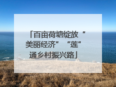 百亩荷塘绽放“美丽经济”“莲”通乡村振兴路