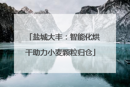 盐城大丰：智能化烘干助力小麦颗粒归仓