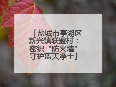 盐城市亭湖区新兴镇联盟村：密织“防火墙”守护蓝天净土