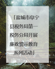 盐城市阜宁县税务局第一税务分局开展廉政警示教育系列活动