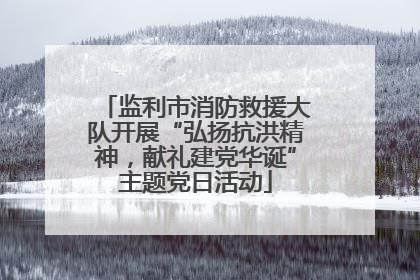 监利市消防救援大队开展“弘扬抗洪精神，献礼建党华诞”主题党日活动