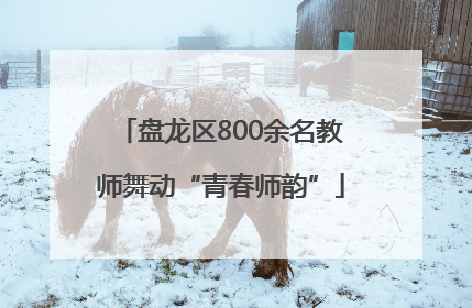 盘龙区800余名教师舞动“青春师韵”