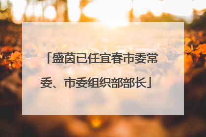 盛茵已任宜春市委常委、市委组织部部长