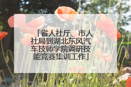 省人社厅、市人社局到湖北东风汽车技师学院调研技能竞赛集训工作