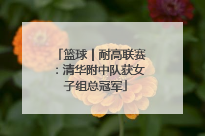 篮球｜耐高联赛：清华附中队获女子组总冠军