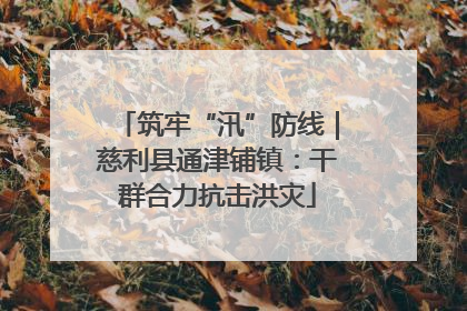 筑牢“汛”防线｜慈利县通津铺镇：干群合力抗击洪灾
