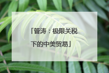 管涛：极限关税下的中美贸易