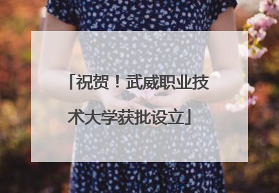 祝贺！武威职业技术大学获批设立