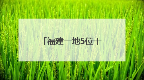 福建一地5位干部，职务调整