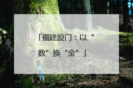 福建厦门：以“数”换“金”